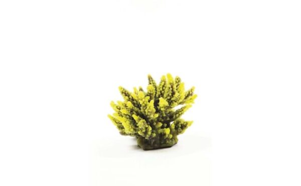 Natureform Coral Staghorn Yellow/Purple Acropora