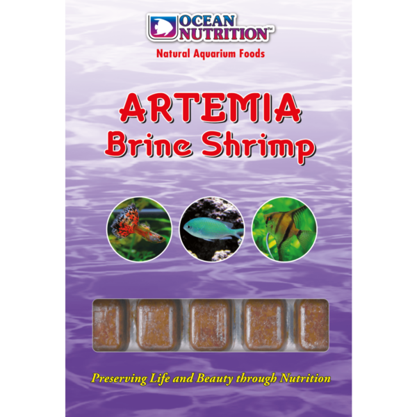 Artémia Brine Shrimp