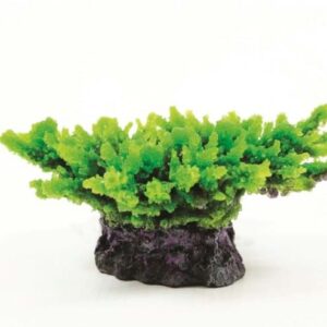 Natureform Coral Staghorn Green Acropora
